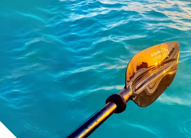 Paddle